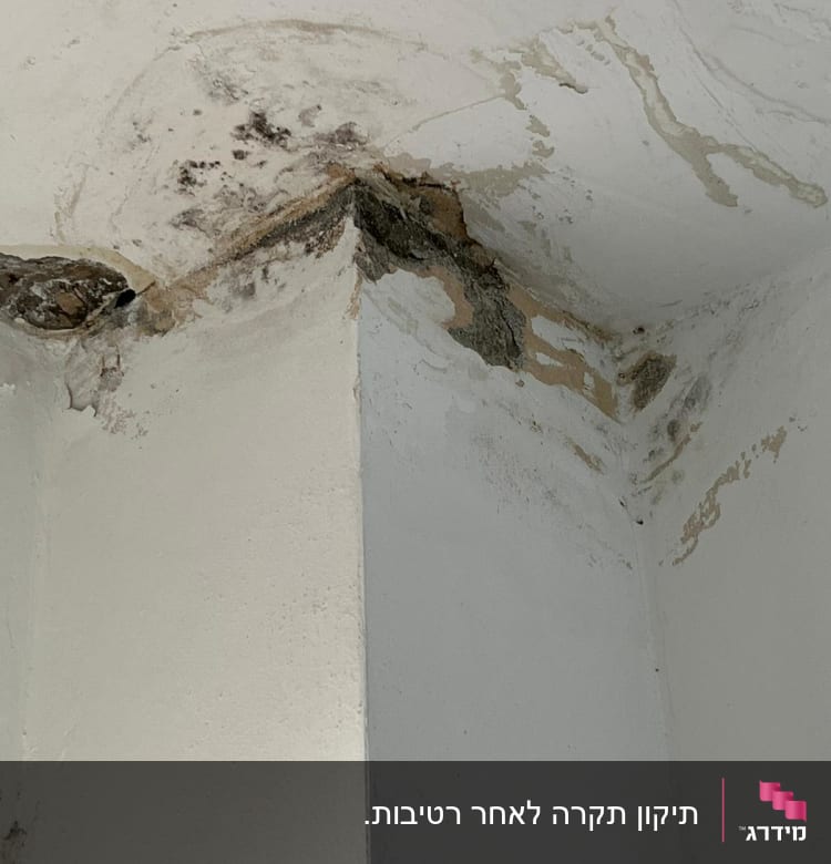 תקרה עם סימני רטיבות ועובש בפינה